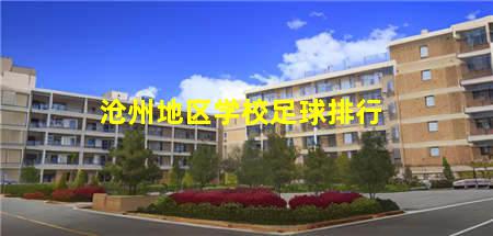 沧州地区学校足球排行(沧州校园足球联赛)(图1) 沧州地区学校足球排行