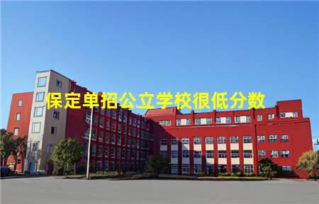 保定单招公立学校很低分数(保定公立单招学校有哪些)，保定中专学校