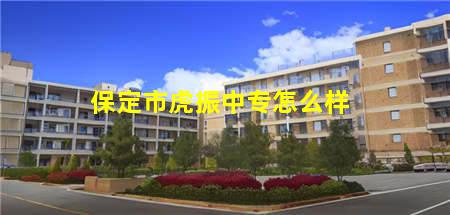 保定市虎振中专怎么样(保定市虎振中专怎么样啊)，保定中专学校